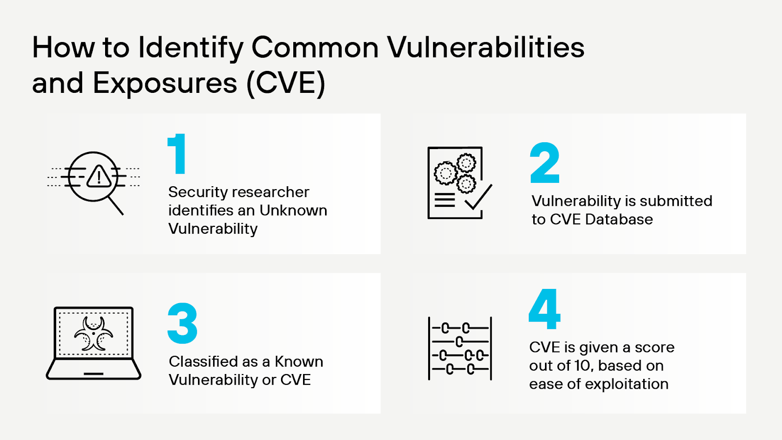CVE 식별 프로세스
