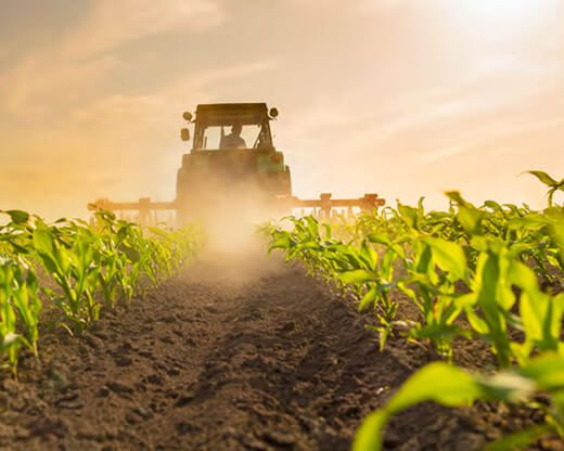 농업 기업 사진